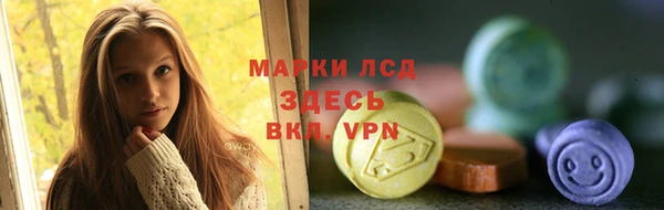 стафф Михайловск