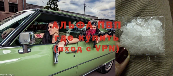 стафф Михайлов