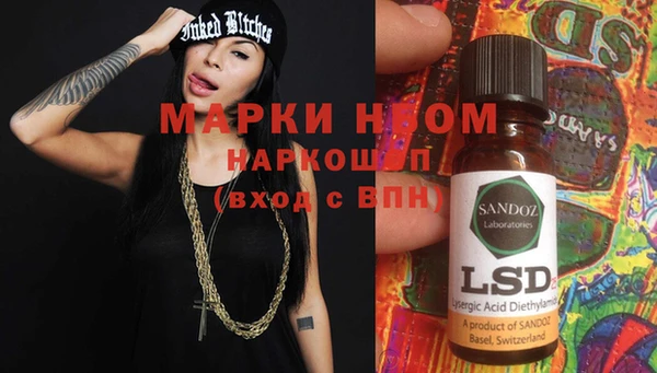 индика Медногорск