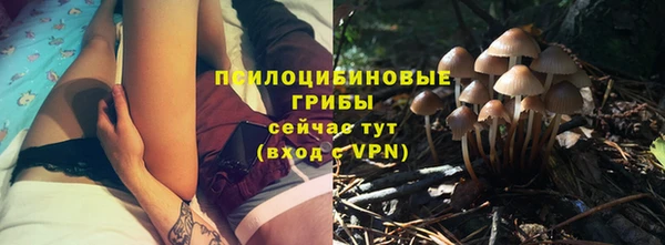2c-b Михайловка
