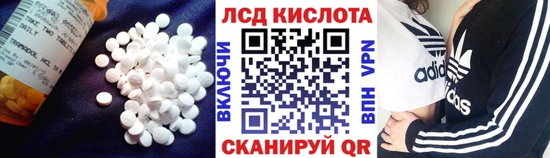 купить наркотики сайты  Михайловск  ЛСД экстази кислота 