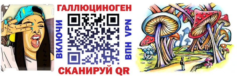 Псилоцибиновые грибы прущие грибы  Михайловск 