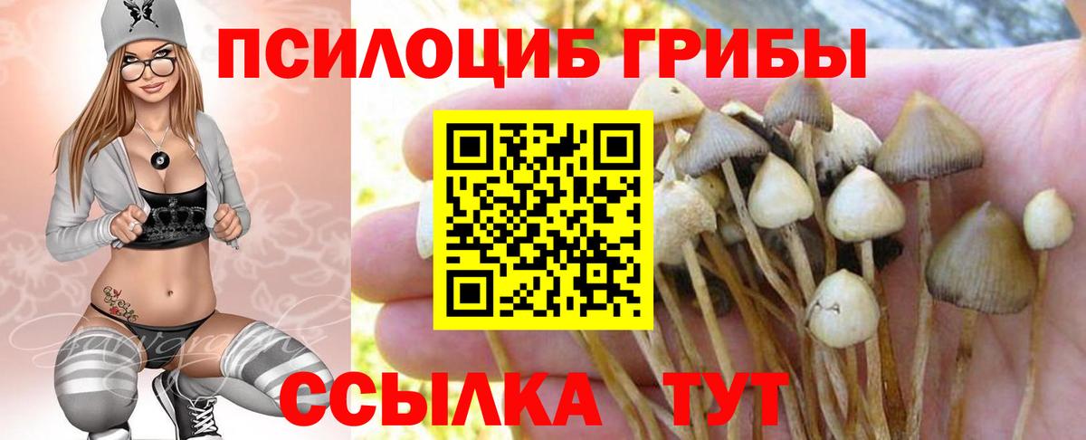 Псилоцибиновые грибы мицелий Михайловск