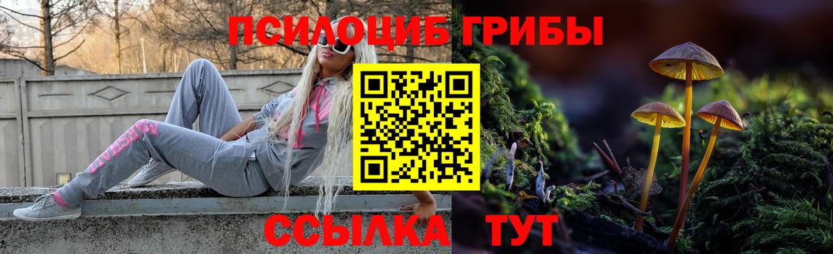 Михайловск  продажа наркотиков  Вход с VPN  Галлюциногенные грибы мицелий 